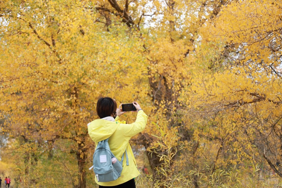 5FFB12E7-E476-4106-BA33-8550B742A502