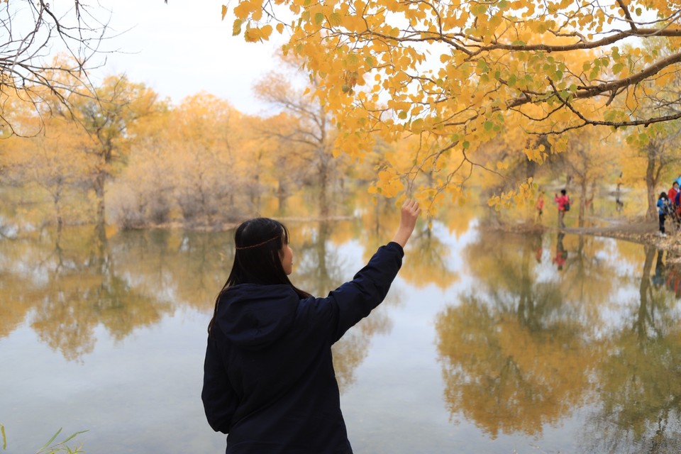 BB78D4B3-D564-49F2-BA41-1DFA524D1862