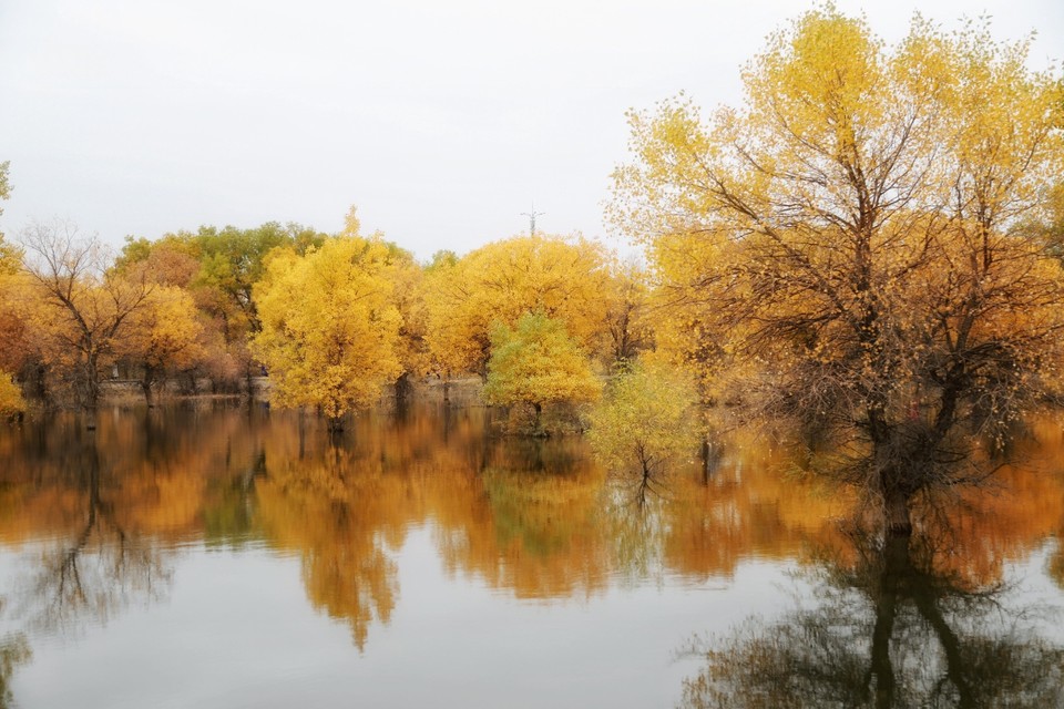 5EFE7ACA-DFA1-409B-954F-1BCBE5F6ABC6