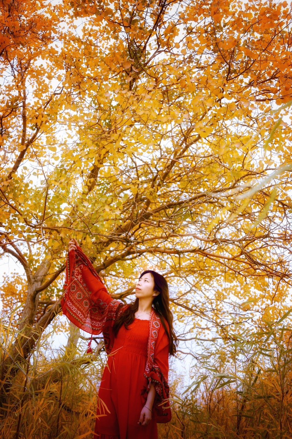 380A0CC3-60A5-47CF-8F18-CCB7D2DF06AB