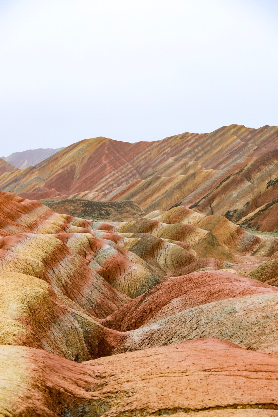 4EA0392D-0301-4284-BEEB-D6F5FC558670