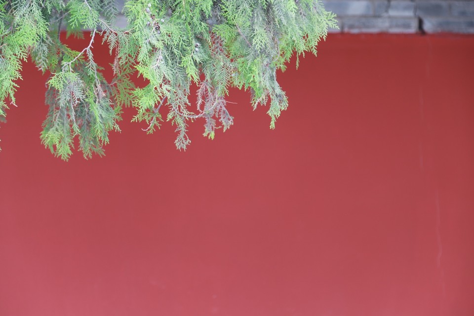 99747EB7-B095-4507-B601-8856042F2D14