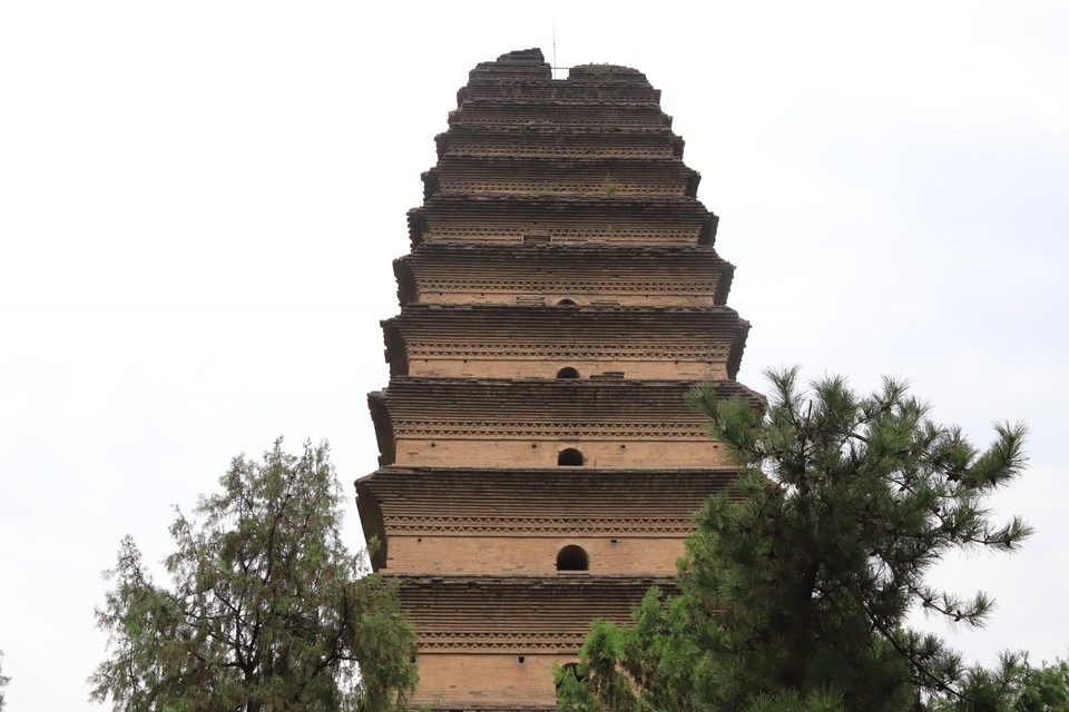 209F475A-FD60-413C-B0D4-6ED3A113609A