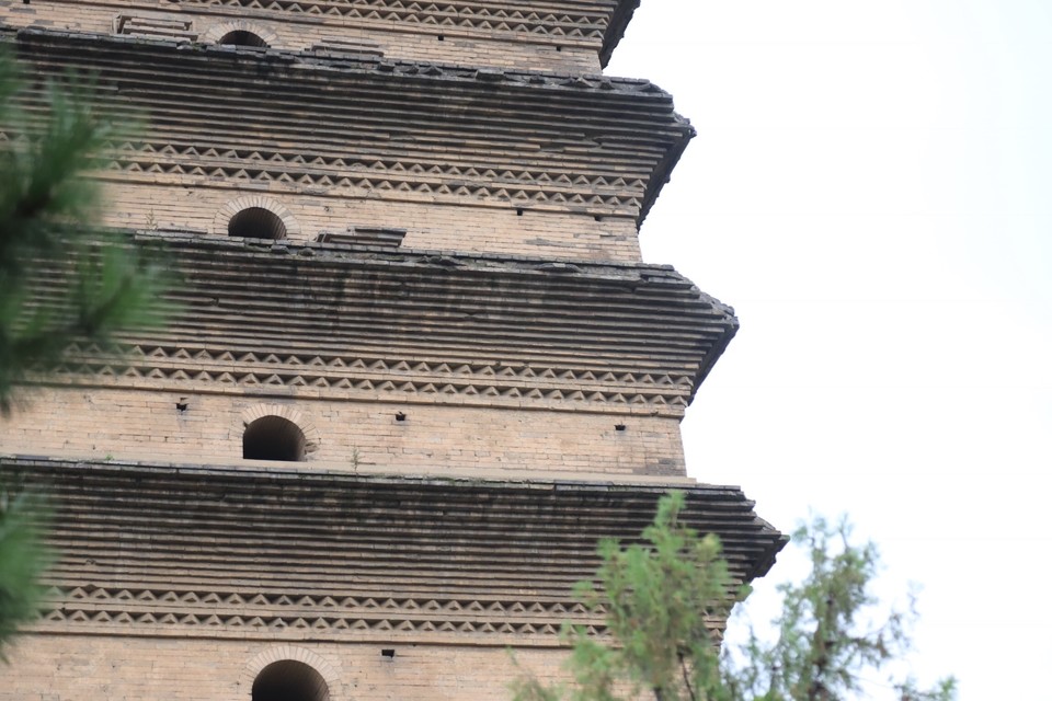 71F99195-B046-494E-8C90-027C960803FD