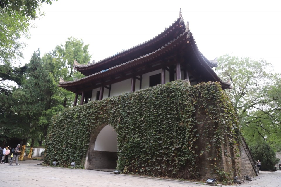 6C870810-EFD3-4E05-ABCD-758C787B7F01