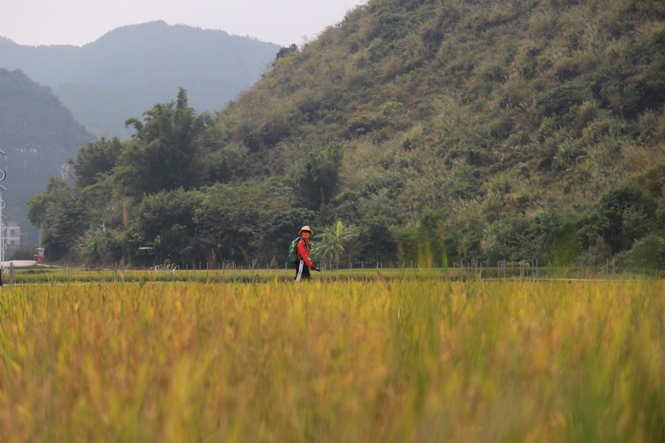 CE1310A1-60B1-44A0-8E5D-9B22E97AB204