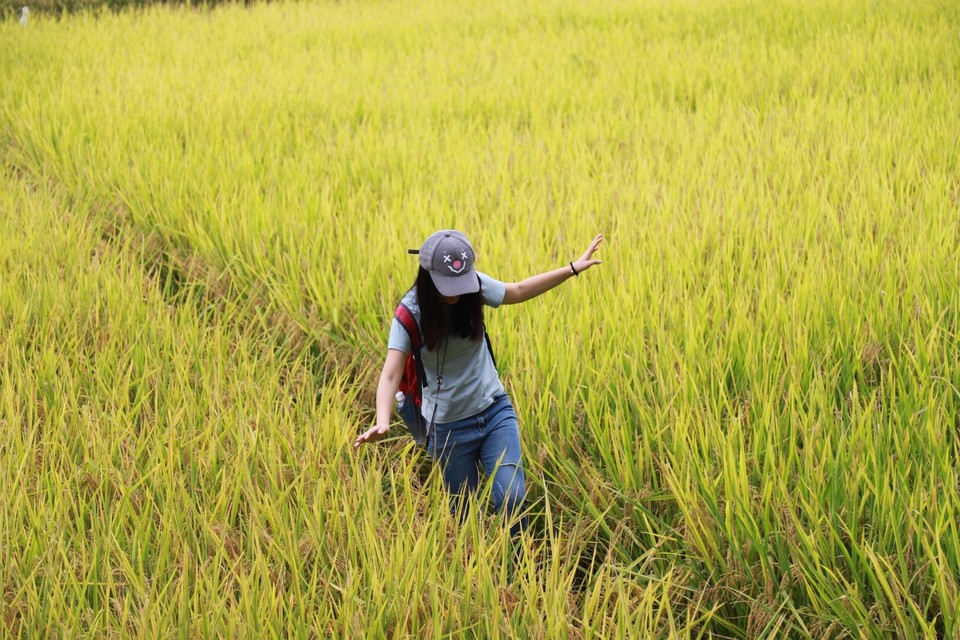 DBCA22E1-57D6-4C31-9287-55322B16EDD4