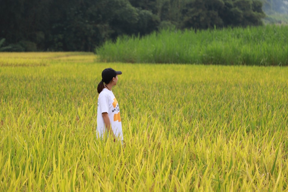 19CFACEA-3C11-40F9-84AD-535072576756