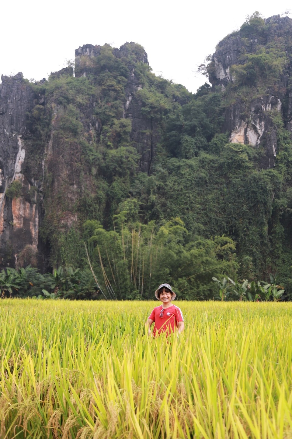 DD61A928-D49F-4E38-98B4-17392C659978