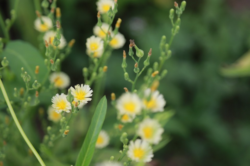 5F2CD607-2CDB-442B-84D5-8FF702B204DA