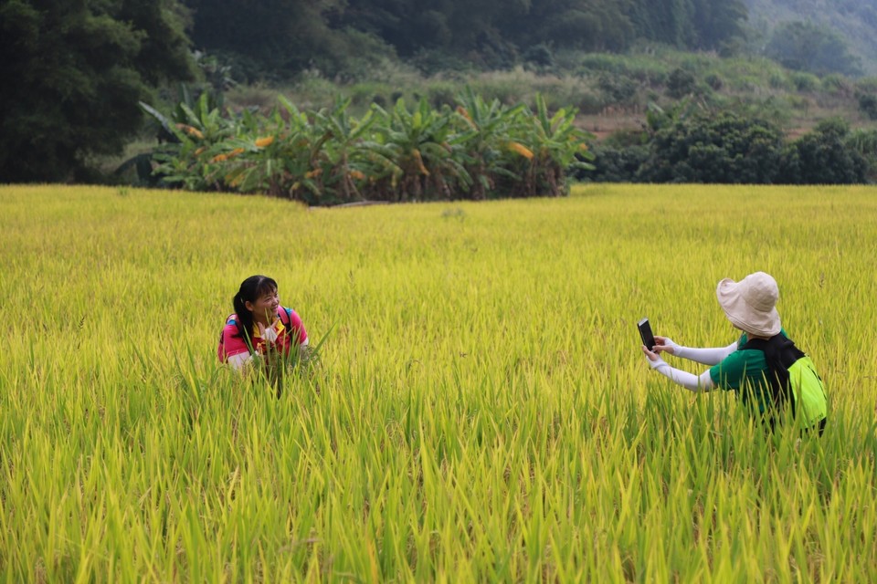 0C3C9E07-DB3F-41D0-84DB-7D1DEBE8D36C