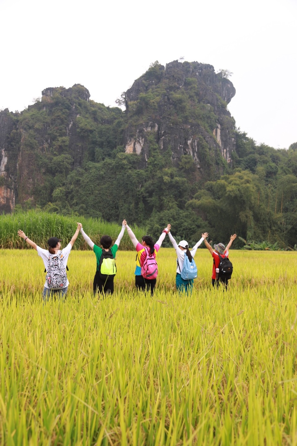 86BDED18-0EF8-4E75-9EDD-C4D3E02CA928