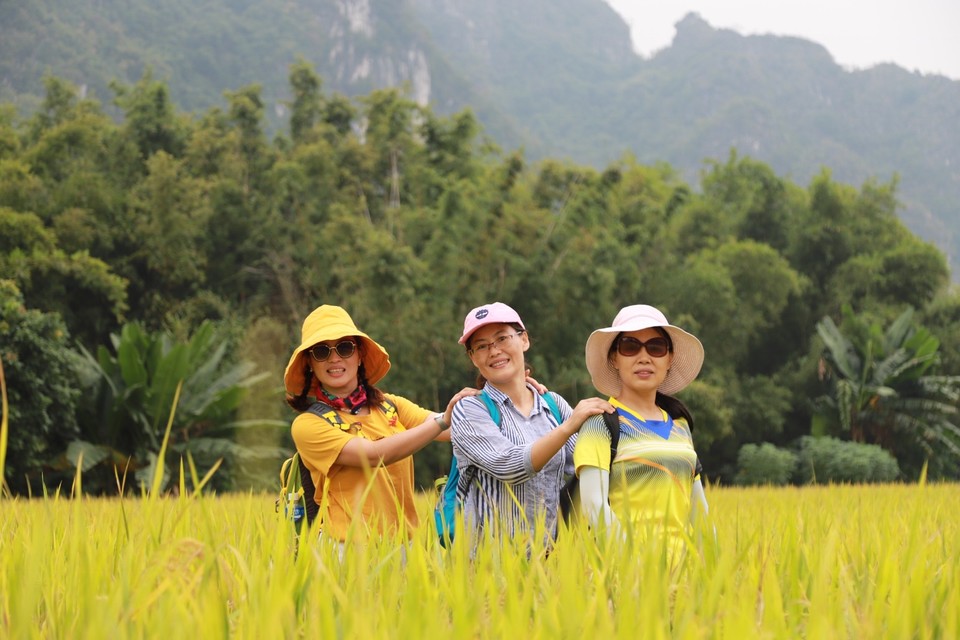 DECDFF63-9F93-4E5B-9FD9-69671556B123