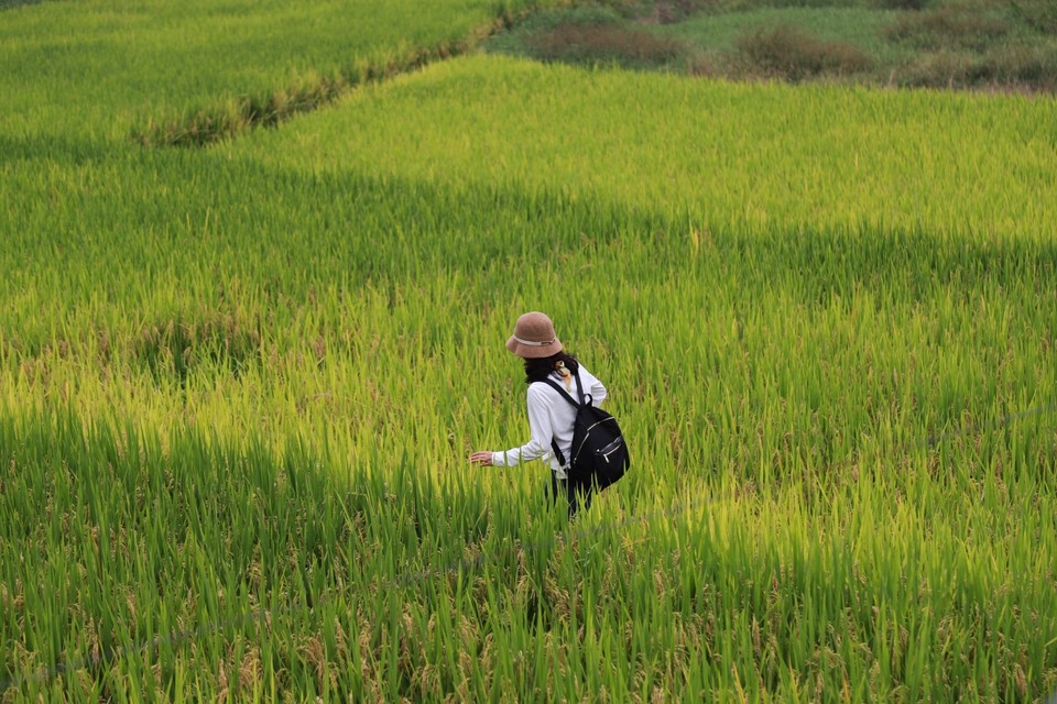 FB841D0A-1962-4FA1-8923-5B890DC3997E