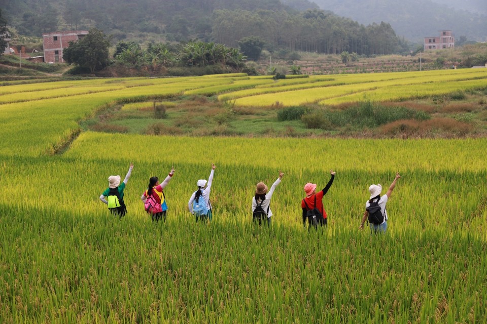 8684E0DA-28F8-4B4B-A99A-E19A98E02DA2