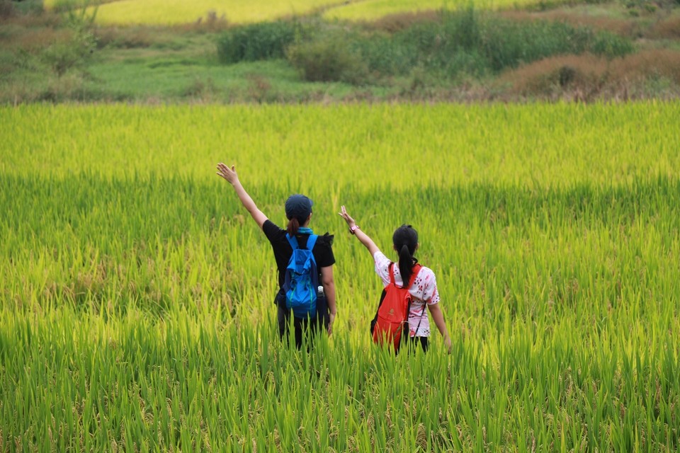 A37C7302-BC80-4791-9F2A-31AF4713F796