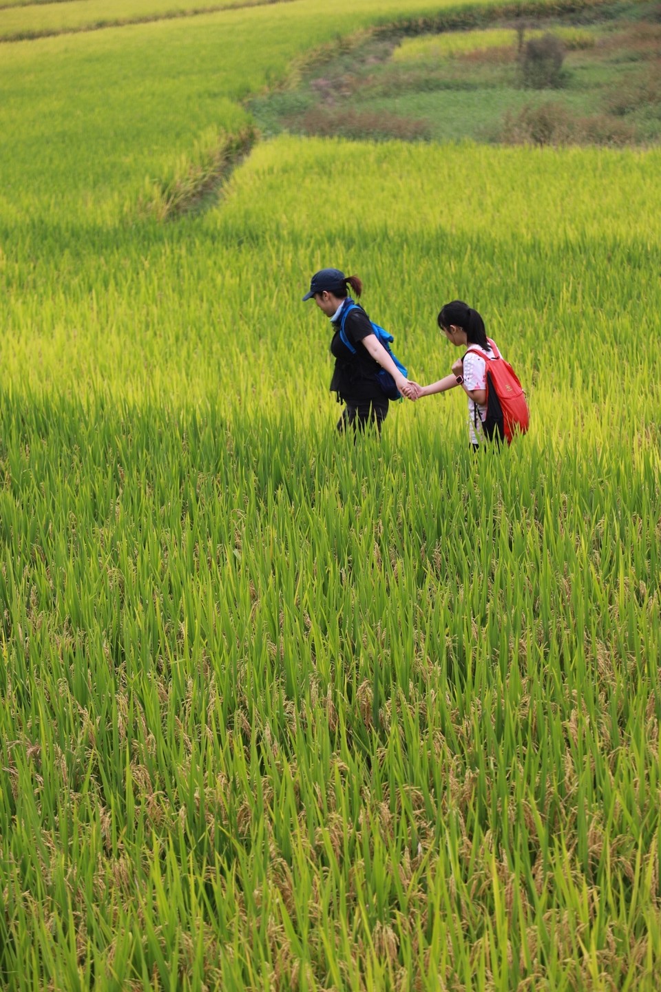 F74DFA34-607A-4576-A663-738952B20B15