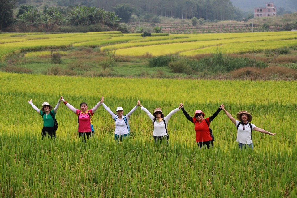 05B05A5F-78CF-429C-B5A9-D224DF08EE29