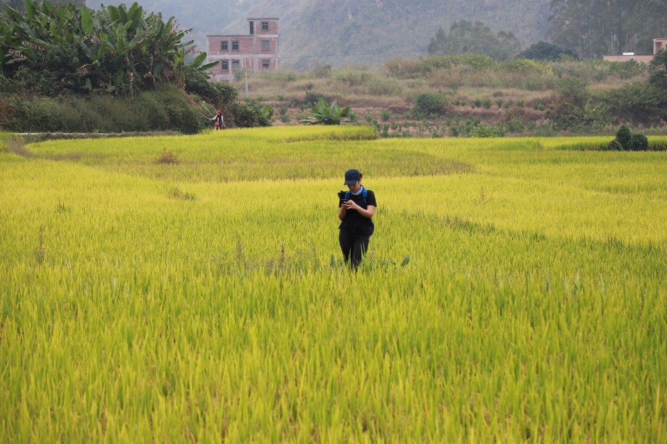 CC3C9346-ABF3-4CE5-A5E4-DBFA871A8255