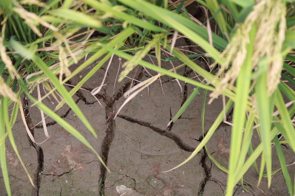 012A47E6-C0B5-40D2-80BF-D355E89C26A2