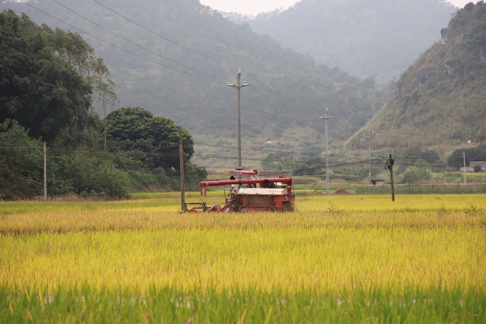 101C4037-9754-4FDE-A6CA-29BD4DA60AC7