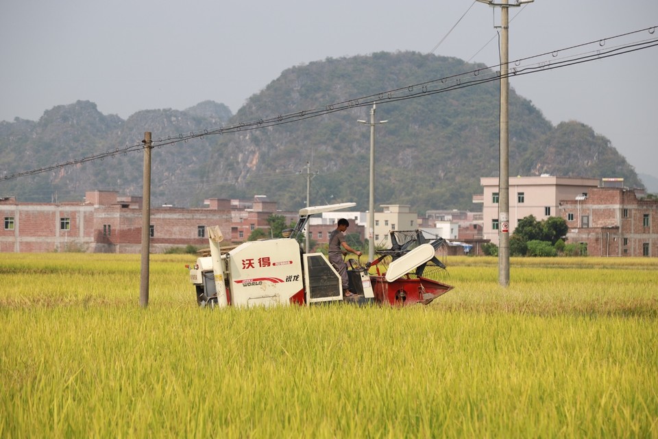 69E9767F-5B35-4454-8FB2-716E0D995618