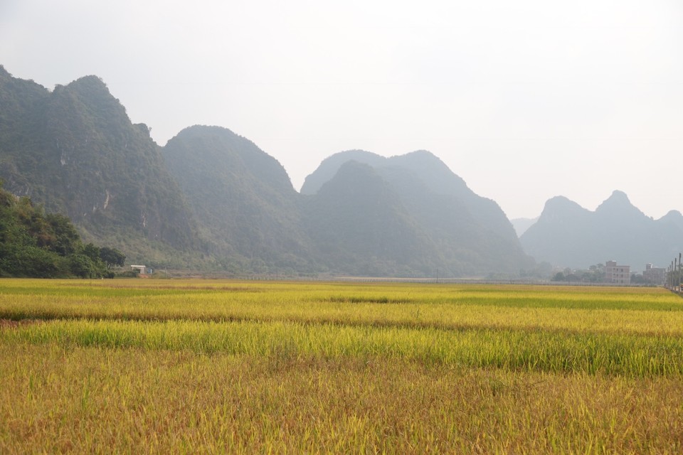 1E42D240-FB25-4C94-98D4-5F8068417D0F