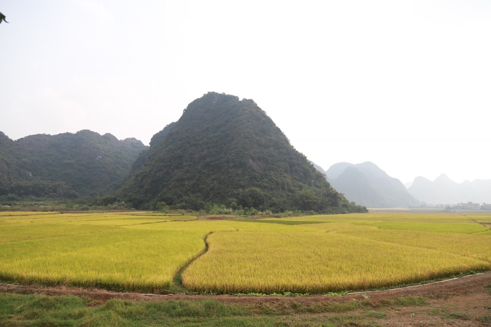 02679EC8-6155-482F-8C42-F96EDFDD70E1