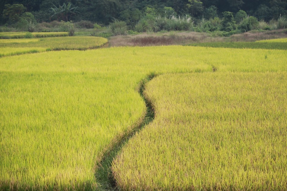 6F35611C-22A0-43F3-B7E5-77BFFEB3F5A1