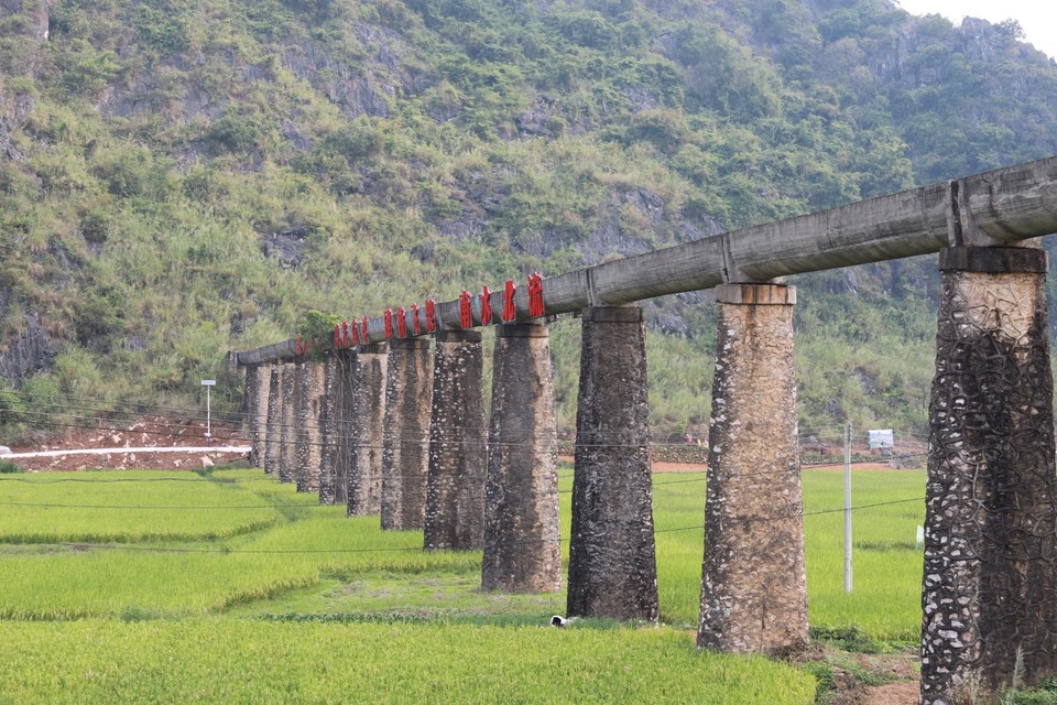 A618B0D5-68A4-491B-AB3C-FF64856E88F0