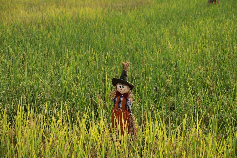 65623F3E-C56E-46F8-AF07-BA2168018936