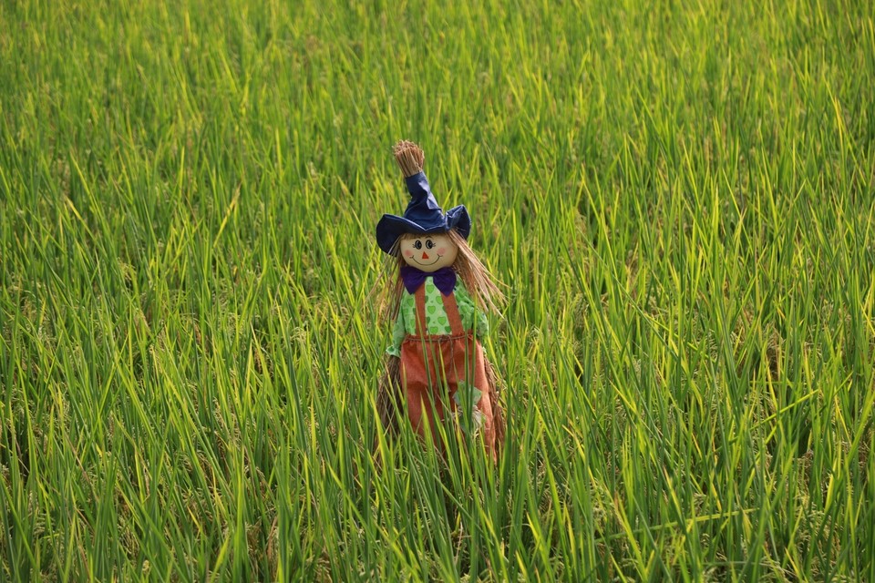 15EE6F0B-FDDB-4AF1-B2C4-87C1899E8DBB