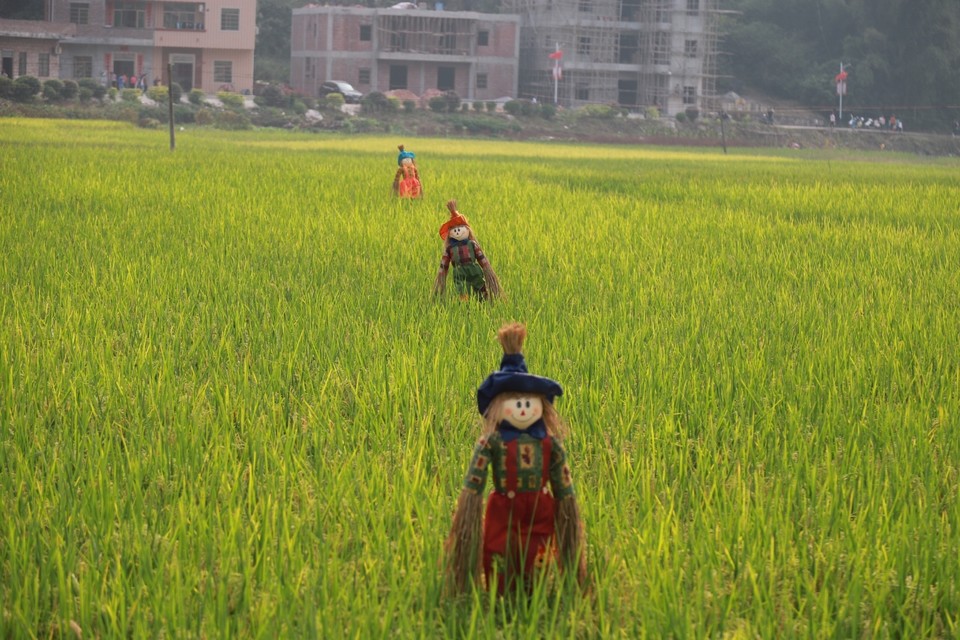 8556BD22-521D-4EC7-B292-61CED5363D07