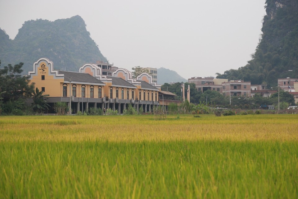 363D7AEC-BA2F-4A46-8637-CF3E8664AA53