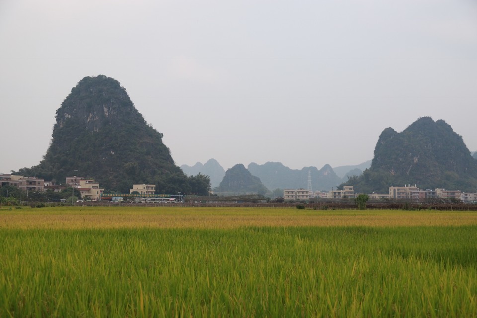 E68B7798-0810-40E3-96F8-92008130EBE0