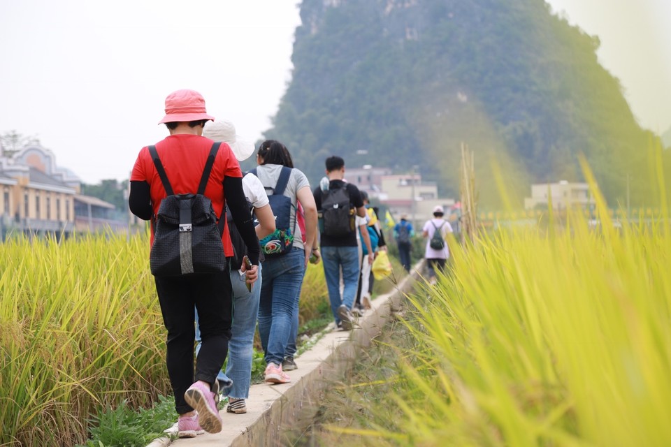 5B27E873-DA75-4EC2-9477-A18821D6F5A6