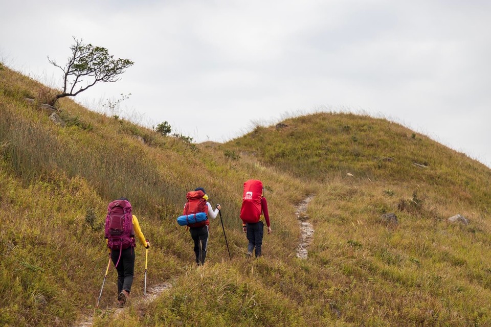 7B449BCF-7582-4352-BD26-62D085A16CE5