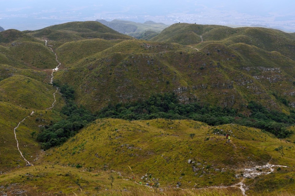 16423F99-51CA-4770-A793-FD8FE4E7CE0B