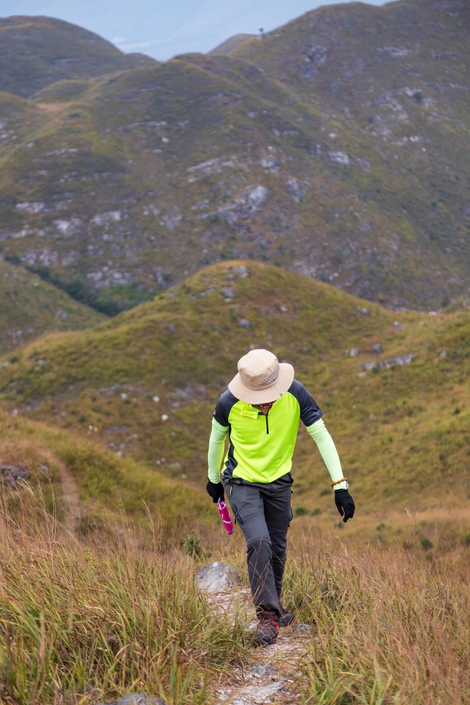 2D73D365-9EE7-489A-B30D-304095D842F9