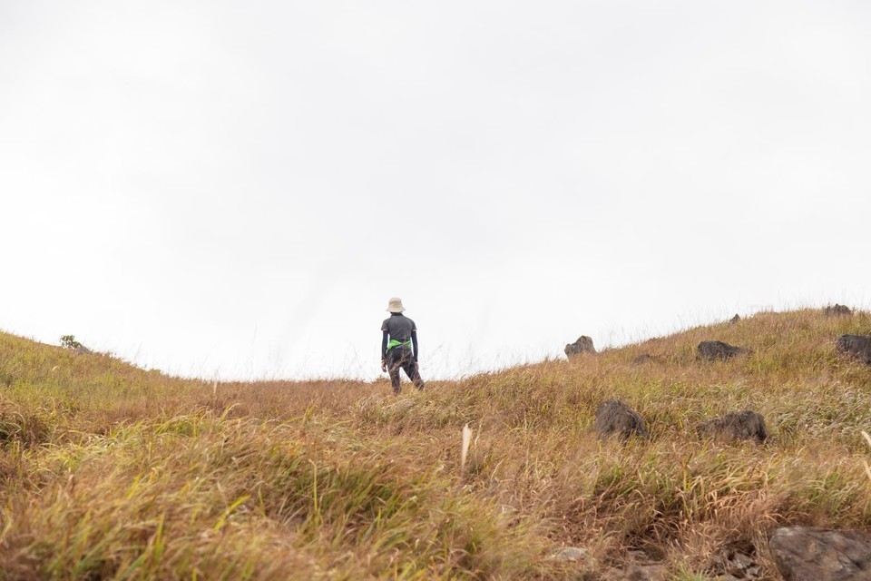 C54C7C16-CEBC-4298-B066-667B7BB3E531