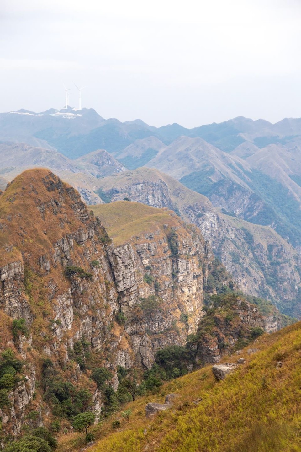 4C7927F8-DDD5-4202-A0D8-ADC45E2529AE