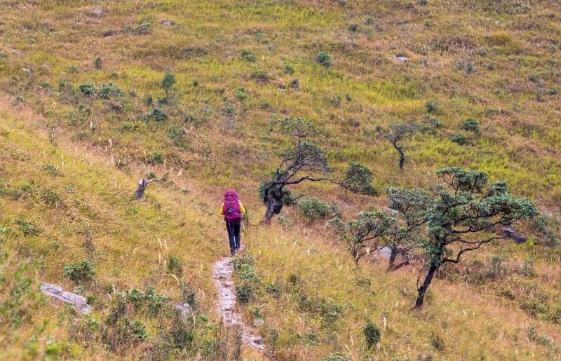 C3DD7049-2861-48C1-9798-7C9895315B77