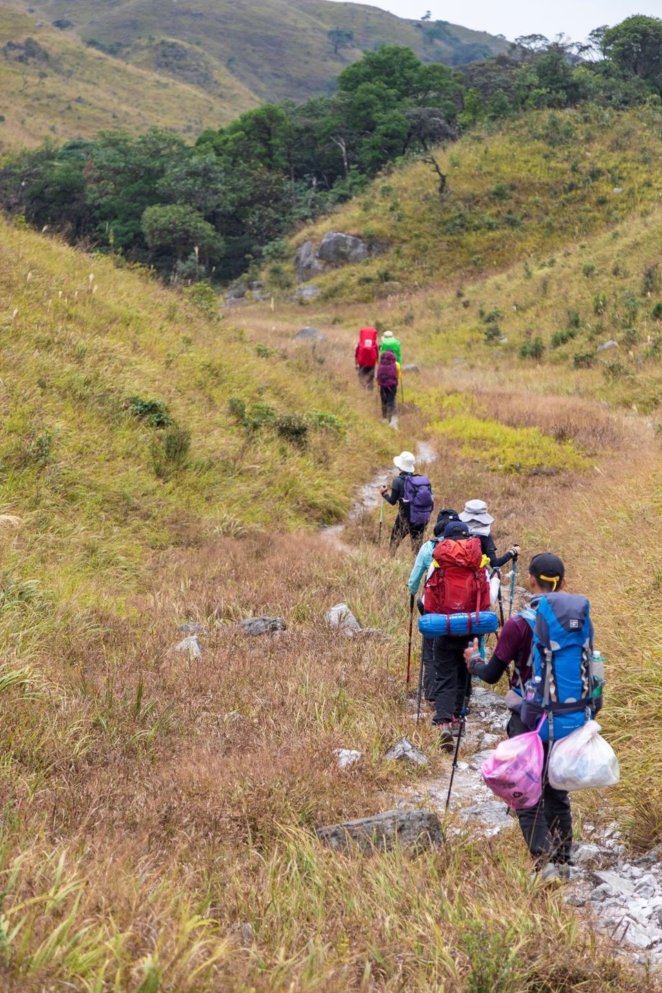 D0A46E33-9877-4782-B849-FE5222226CDD