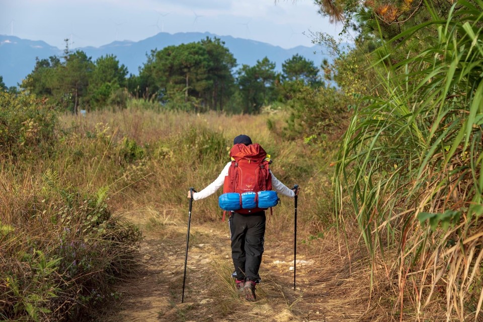 74C356B0-50D0-4383-AFE6-9C3A7D716266