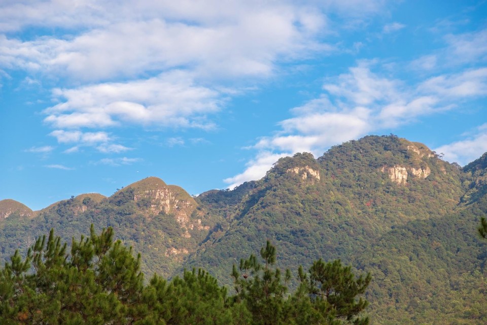 79618778-45BA-4C2D-8978-6AF4CD5BD39C