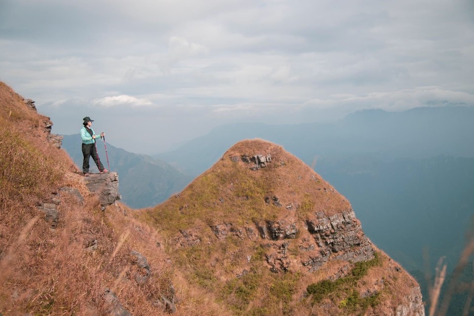 AFF4EA4C-7C36-41E9-B3A6-345A3B11882C