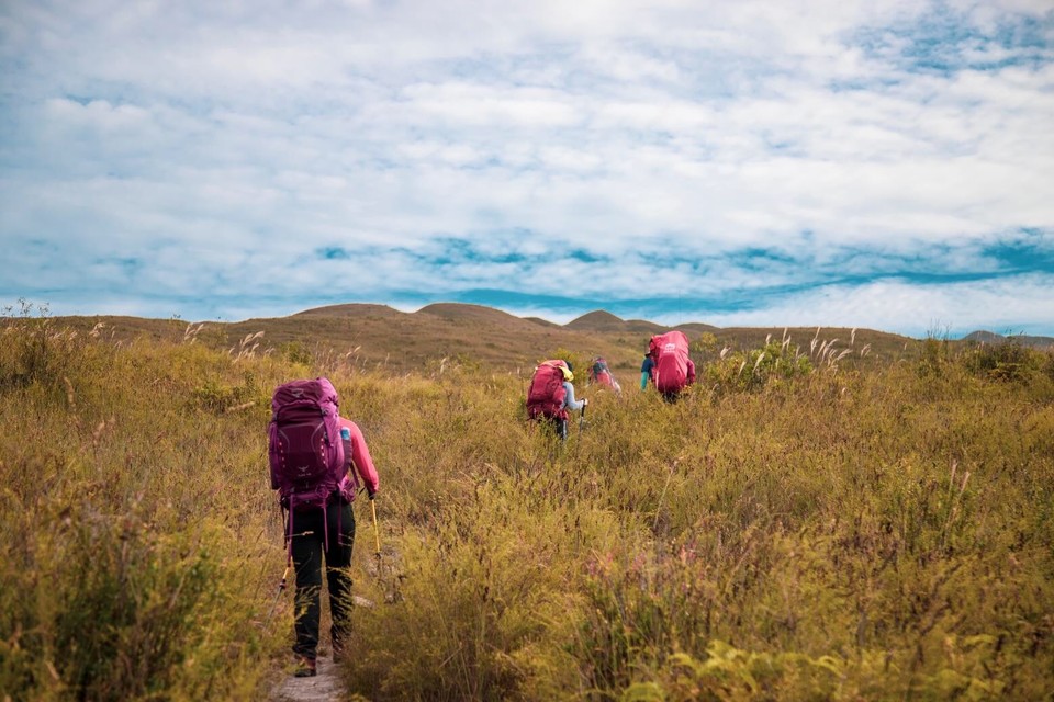 769A6A9C-2727-4086-BF11-B35A0C664054