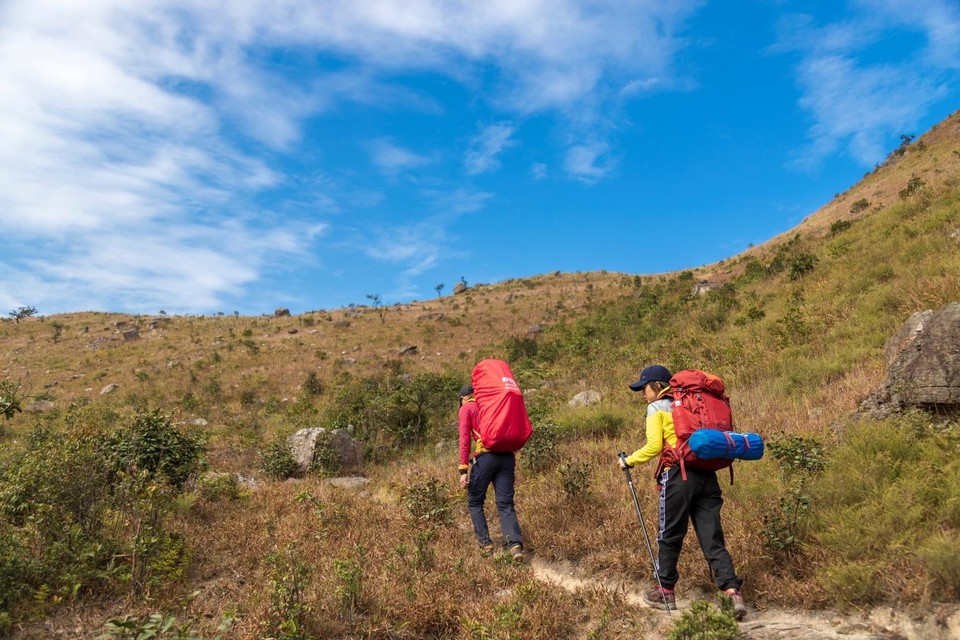 77F953FB-EE3A-478A-9B27-98C14502B630