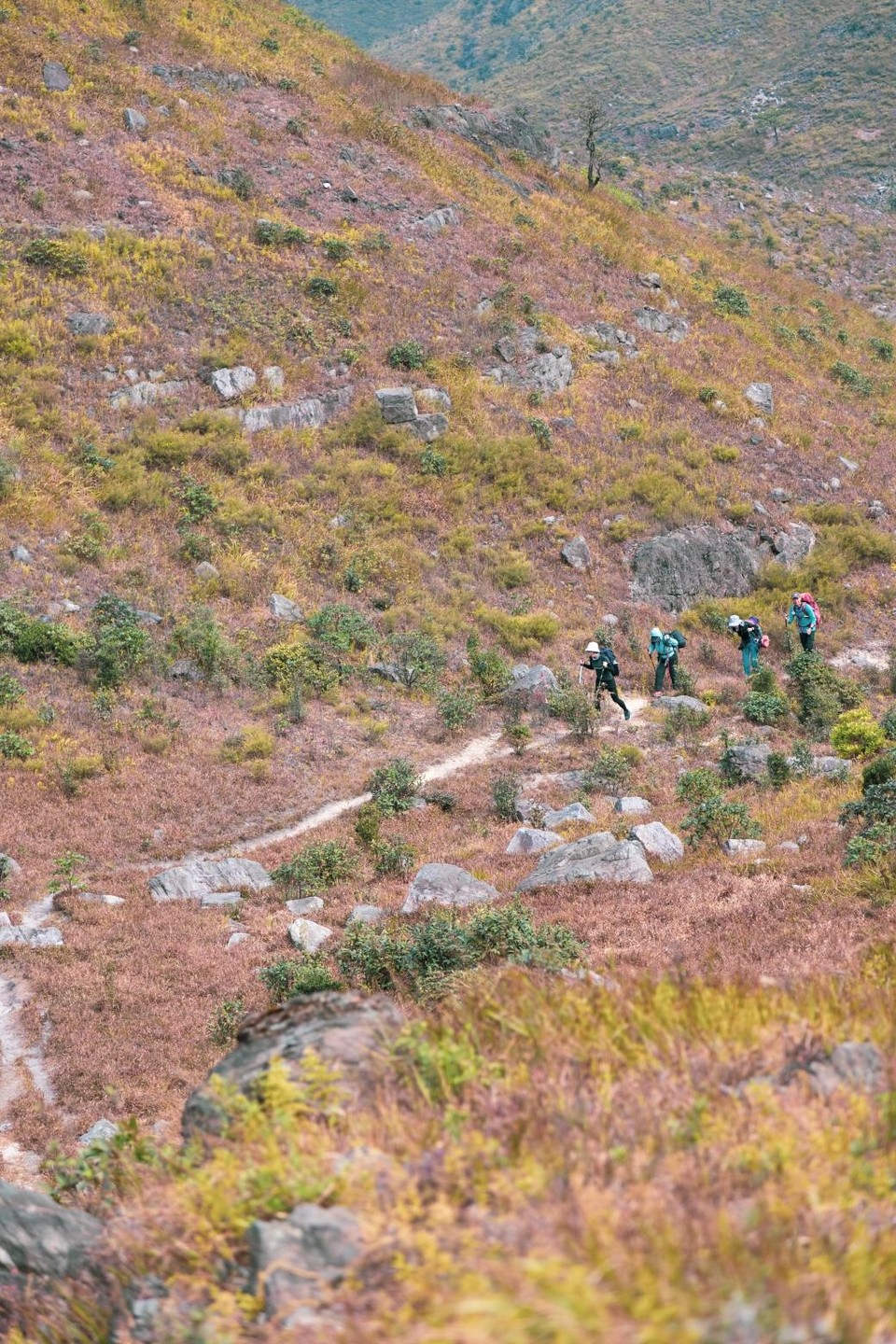 234A3C32-1C62-4DAC-ACAC-E918E36E9845