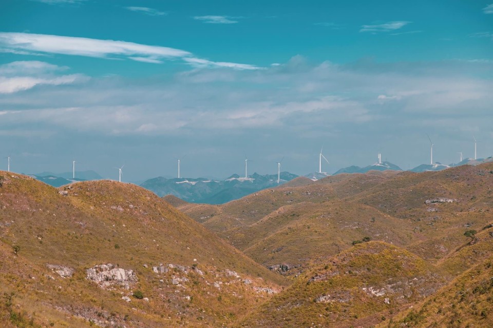 56FE06B6-37E6-40BA-B981-2C6CCFEA9024